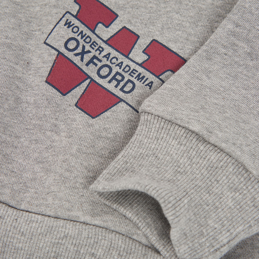 SUDADERA WONDERACADEMIA NIÑO