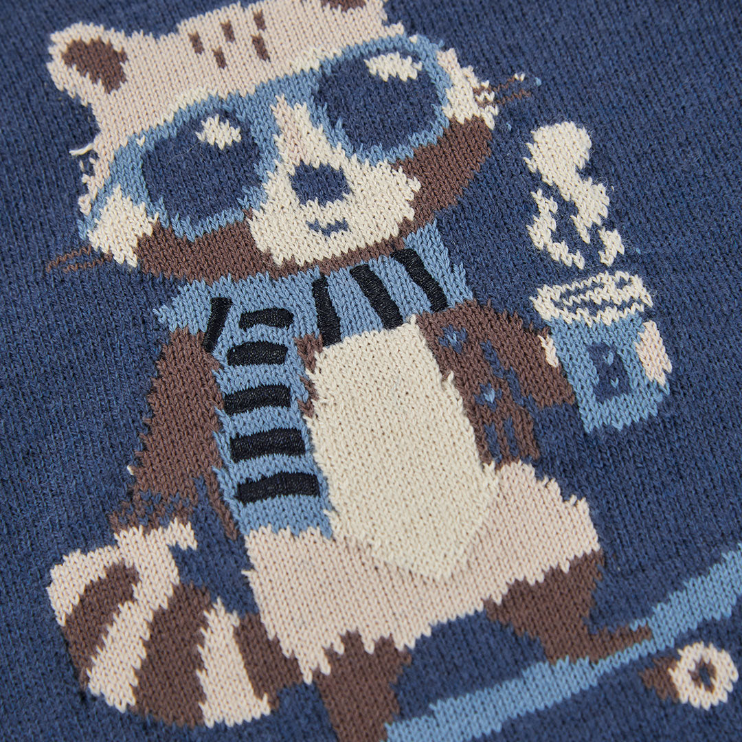 JERSEY DE MANGA LARGA MAPACHE NIÑO