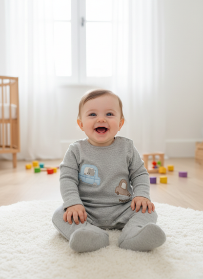 PACK DE 2 PELELES DE MANGA LARGA AZUL Y GRIS DE COCHES