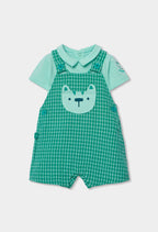 CONJUNTO DE PUNTO DE CUADROS VERDE