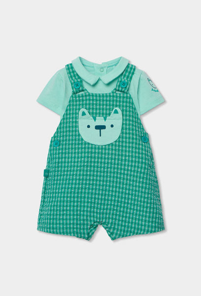 CONJUNTO DE PUNTO DE CUADROS VERDE