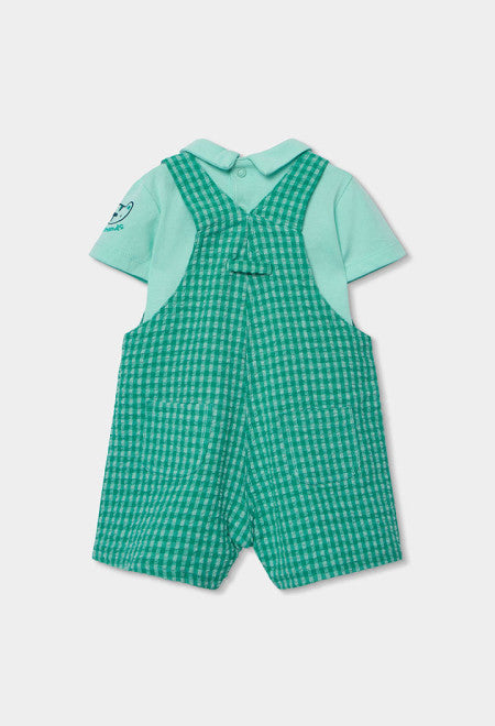 CONJUNTO DE PUNTO DE CUADROS VERDE