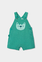 CONJUNTO DE PUNTO DE CUADROS VERDE