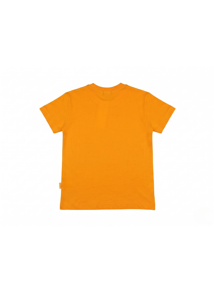 CAMISETA DE MANGA CORTA DINO
