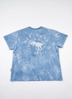 CAMISETA DE MANGA CORTA DINOSAUR
