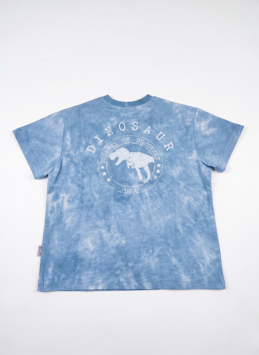 CAMISETA DE MANGA CORTA DINOSAUR